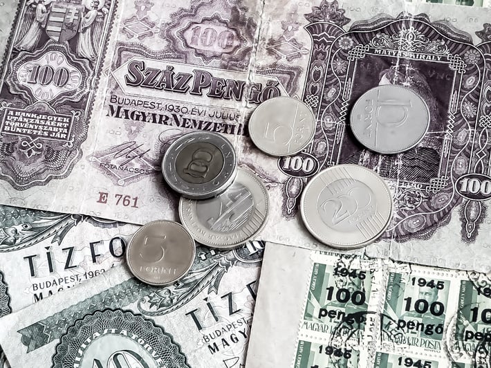 A Look Back: The case of the hungarian forint